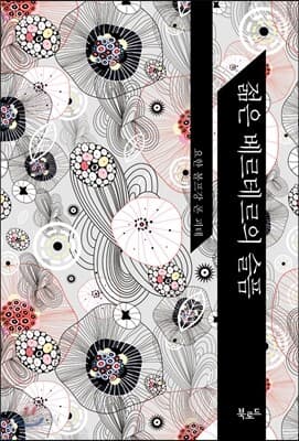 젊은 베르테르의 슬픔 표지